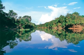 Reserva Nacional Pacaya Samiria